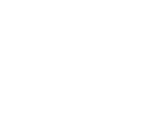 Service 03